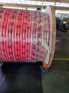 Cable
